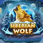 Игровой аппарат Siberian Wolf