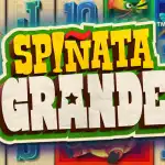 Игровой аппарат Spinata Grande