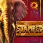 Игровой аппарат Stampede