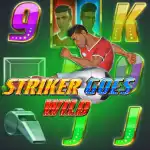 Игровой аппарат Striker Goes Wild