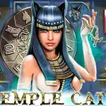 Игровой аппарат Temple Cats