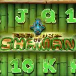 Игровой аппарат Treasure Of Shaman