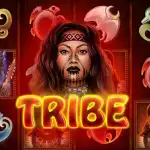 Игровой аппарат Tribe