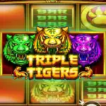 Игровой аппарат Triple Tigers