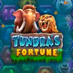 Игровой аппарат Tundra’s Fortune