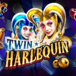 Игровой аппарат Twin Harlequin