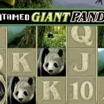 Игровой аппарат Untamed Giant Panda