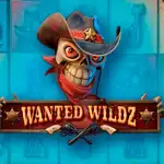 обзор слота Wanted Wildz