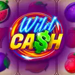 Игровой аппарат Wild Cash