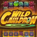 Игровой аппарат Wild Cauldron