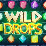 Игровой аппарат Wild Drops