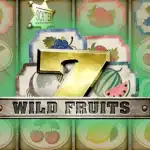 Игровой аппарат Wild Fruits