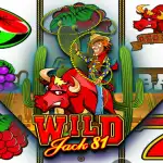 Игровой аппарат Wild Jack 81