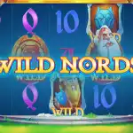 Игровой аппарат Wild Nords