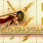 Игровой аппарат Wild Spartans