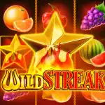 Игровой аппарат Wild Streak