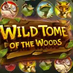 Игровой аппарат Wild Tome of the Wood