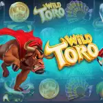 Игровой аппарат Wild Toro