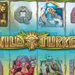 Игровой аппарат Wild Turkey