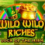 Игровой аппарат Wild Wild Riches