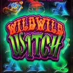 обзор слота Wild Wild Witch