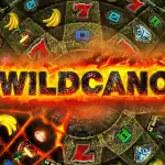 Игровой аппарат Wildcano