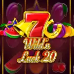 Игровой аппарат Wild & Luck 20