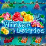 Игровой аппарат Winterberries