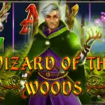 обзор слота Wizard of the Woods