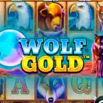 Игровой аппарат Wolf Gold