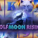 Игровой аппарат Wolf Moon Rising