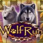 Игровой аппарат Wolf Run