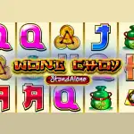 Игровой аппарат Wong Choy Sa